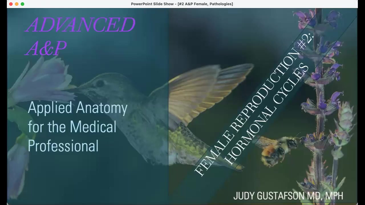 Anatomy Bundle bundle