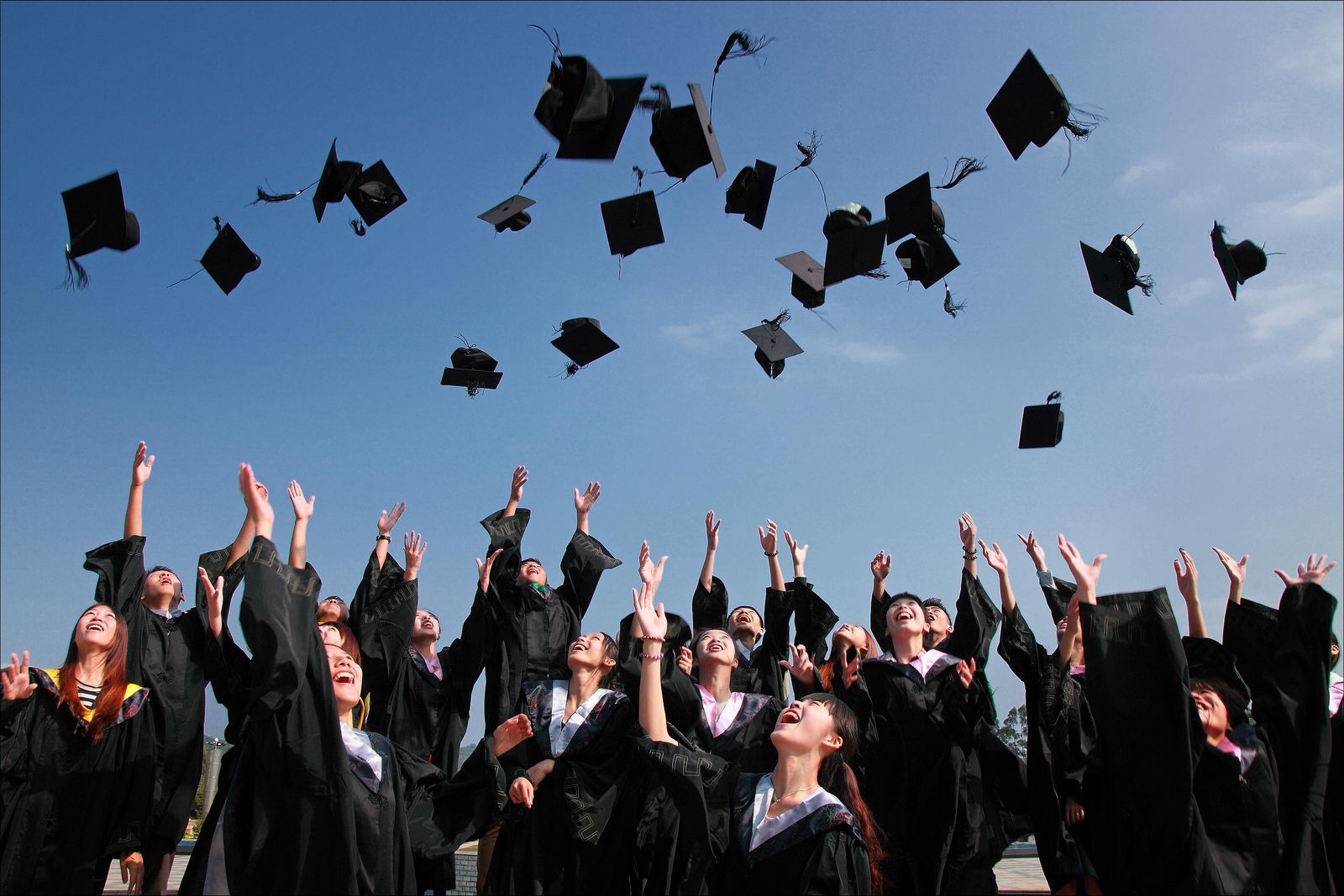 University learning category
