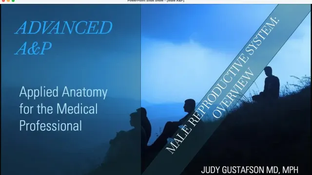 Applied Anatomy for the Medical Professional